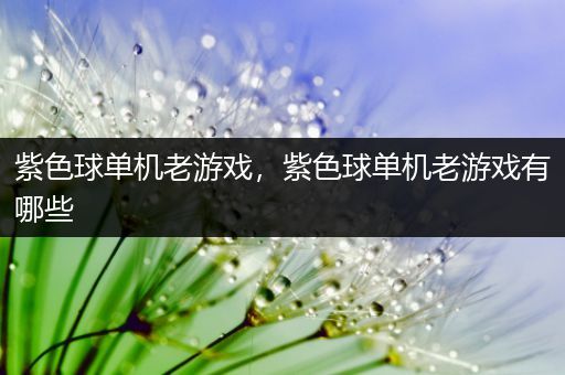 紫色球单机老游戏，紫色球单机老游戏有哪些