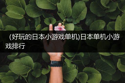 （好玩的日本小游戏单机)日本单机小游戏排行
