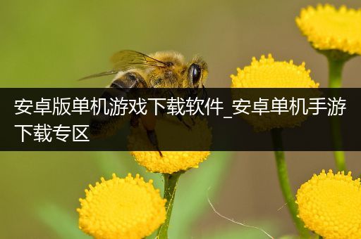 安卓版单机游戏下载软件_安卓单机手游下载专区