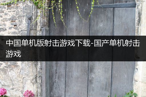 中国单机版射击游戏下载-国产单机射击游戏