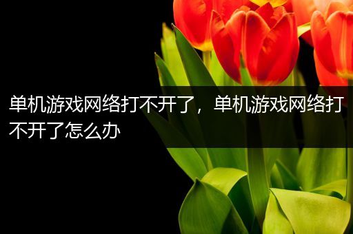 单机游戏网络打不开了，单机游戏网络打不开了怎么办