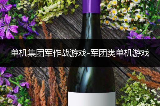 单机集团军作战游戏-军团类单机游戏