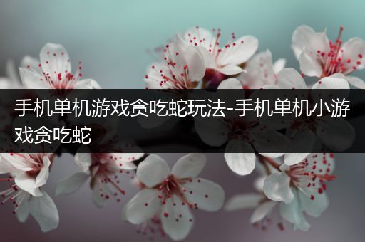 手机单机游戏贪吃蛇玩法-手机单机小游戏贪吃蛇