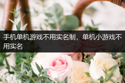 手机单机游戏不用实名制，单机小游戏不用实名