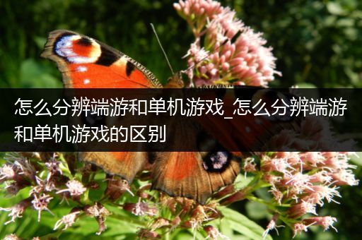 怎么分辨端游和单机游戏_怎么分辨端游和单机游戏的区别