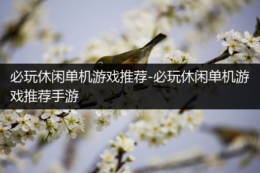 必玩休闲单机游戏推荐-必玩休闲单机游戏推荐手游