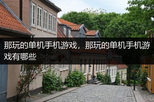 那玩的单机手机游戏，那玩的单机手机游戏有哪些