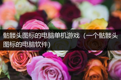 骷髅头图标的电脑单机游戏（一个骷髅头图标的电脑软件）