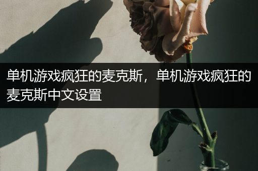 单机游戏疯狂的麦克斯，单机游戏疯狂的麦克斯中文设置