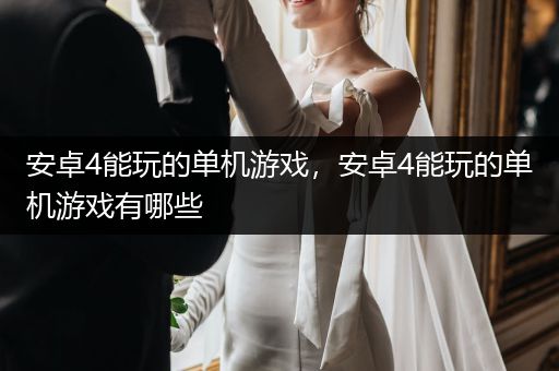 安卓4能玩的单机游戏，安卓4能玩的单机游戏有哪些
