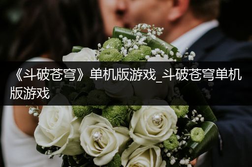 《斗破苍穹》单机版游戏_斗破苍穹单机版游戏