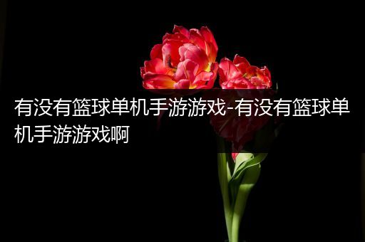 有没有篮球单机手游游戏-有没有篮球单机手游游戏啊