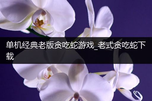 单机经典老版贪吃蛇游戏_老式贪吃蛇下载