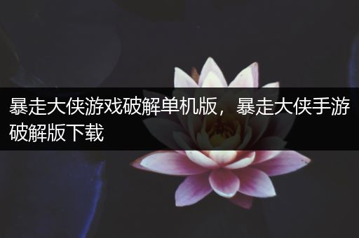 暴走大侠游戏破解单机版，暴走大侠手游破解版下载