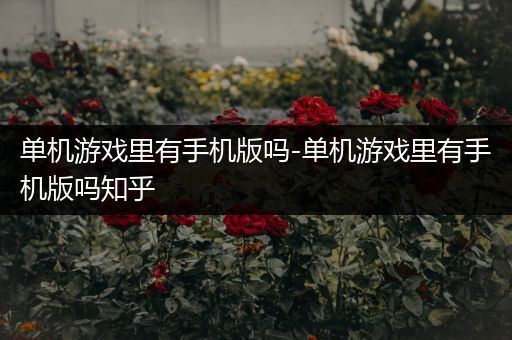 单机游戏里有手机版吗-单机游戏里有手机版吗知乎