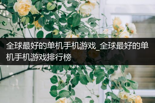 全球最好的单机手机游戏_全球最好的单机手机游戏排行榜