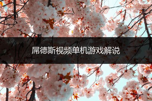 屌德斯视频单机游戏解说