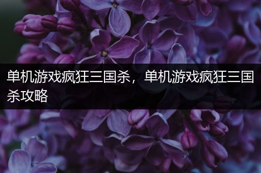 单机游戏疯狂三国杀，单机游戏疯狂三国杀攻略