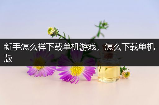 新手怎么样下载单机游戏，怎么下载单机版