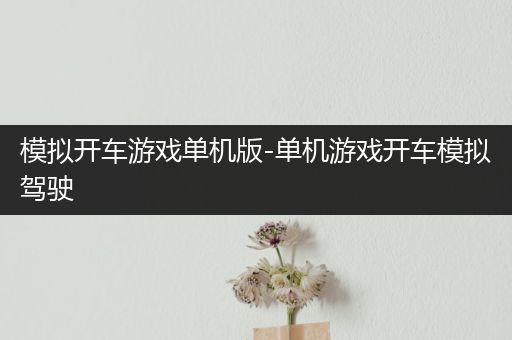 模拟开车游戏单机版-单机游戏开车模拟驾驶