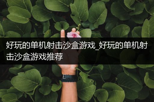 好玩的单机射击沙盒游戏_好玩的单机射击沙盒游戏推荐