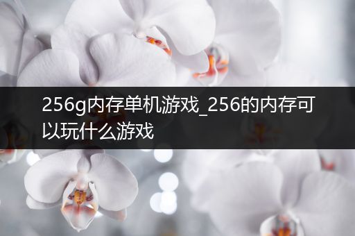 256g内存单机游戏_256的内存可以玩什么游戏