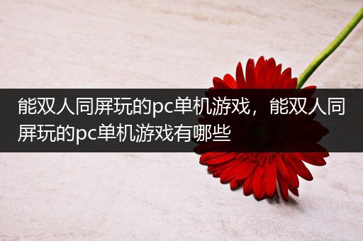 能双人同屏玩的pc单机游戏，能双人同屏玩的pc单机游戏有哪些