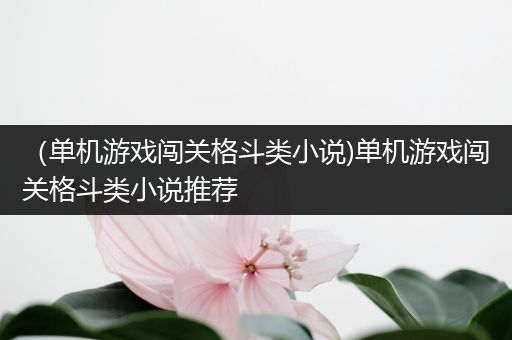 （单机游戏闯关格斗类小说)单机游戏闯关格斗类小说推荐