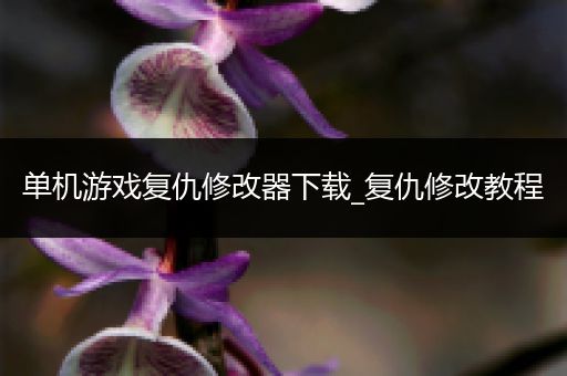 单机游戏复仇修改器下载_复仇修改教程