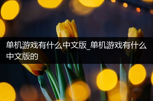 单机游戏有什么中文版_单机游戏有什么中文版的
