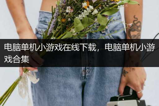 电脑单机小游戏在线下载，电脑单机小游戏合集