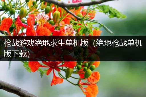 枪战游戏绝地求生单机版（绝地枪战单机版下载）