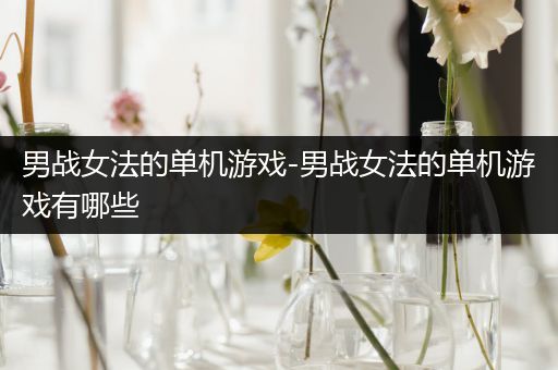 男战女法的单机游戏-男战女法的单机游戏有哪些