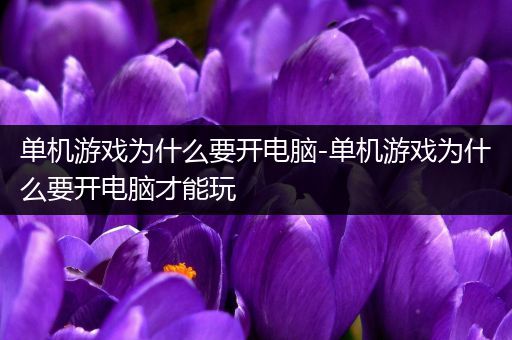 单机游戏为什么要开电脑-单机游戏为什么要开电脑才能玩