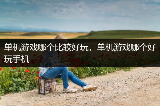 单机游戏哪个比较好玩，单机游戏哪个好玩手机