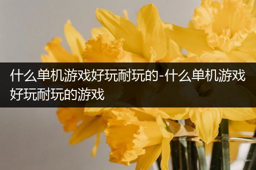 什么单机游戏好玩耐玩的-什么单机游戏好玩耐玩的游戏