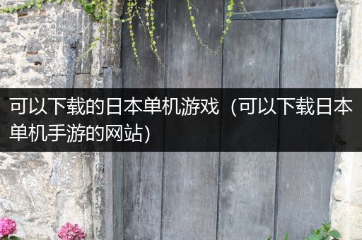 可以下载的日本单机游戏（可以下载日本单机手游的网站）