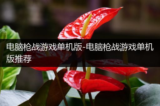 电脑枪战游戏单机版-电脑枪战游戏单机版推荐