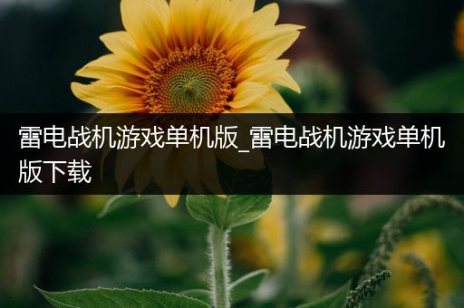 雷电战机游戏单机版_雷电战机游戏单机版下载