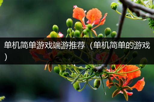 单机简单游戏端游推荐（单机简单的游戏）