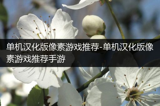 单机汉化版像素游戏推荐-单机汉化版像素游戏推荐手游
