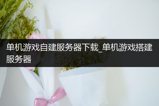 单机游戏自建服务器下载_单机游戏搭建服务器