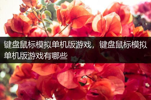 键盘鼠标模拟单机版游戏，键盘鼠标模拟单机版游戏有哪些