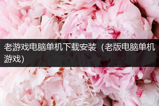 老游戏电脑单机下载安装（老版电脑单机游戏）