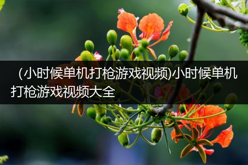 （小时候单机打枪游戏视频)小时候单机打枪游戏视频大全