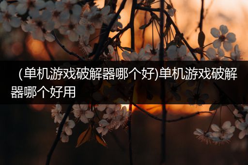 （单机游戏破解器哪个好)单机游戏破解器哪个好用