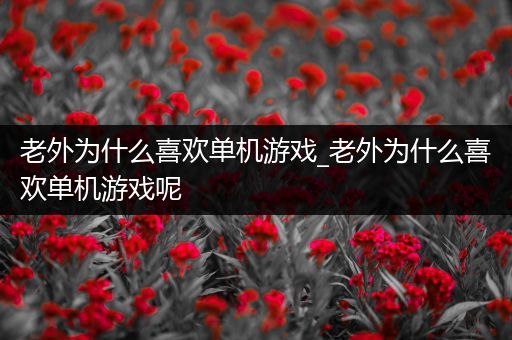 老外为什么喜欢单机游戏_老外为什么喜欢单机游戏呢