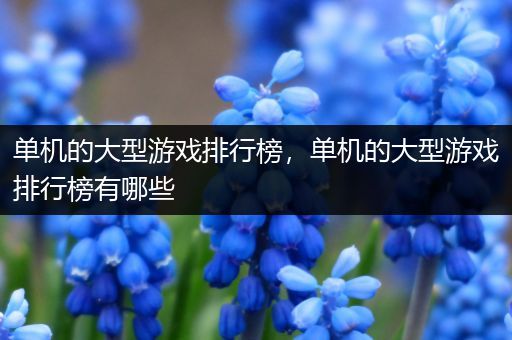 单机的大型游戏排行榜，单机的大型游戏排行榜有哪些