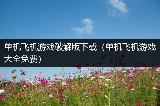 单机飞机游戏破解版下载（单机飞机游戏大全免费）