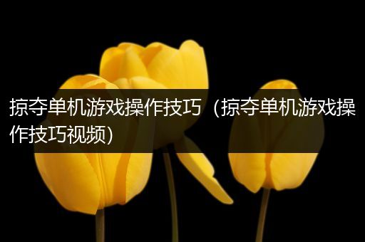 掠夺单机游戏操作技巧（掠夺单机游戏操作技巧视频）